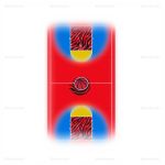 Inflatable Indoor Basketball Court & Tumbling Mat Rental