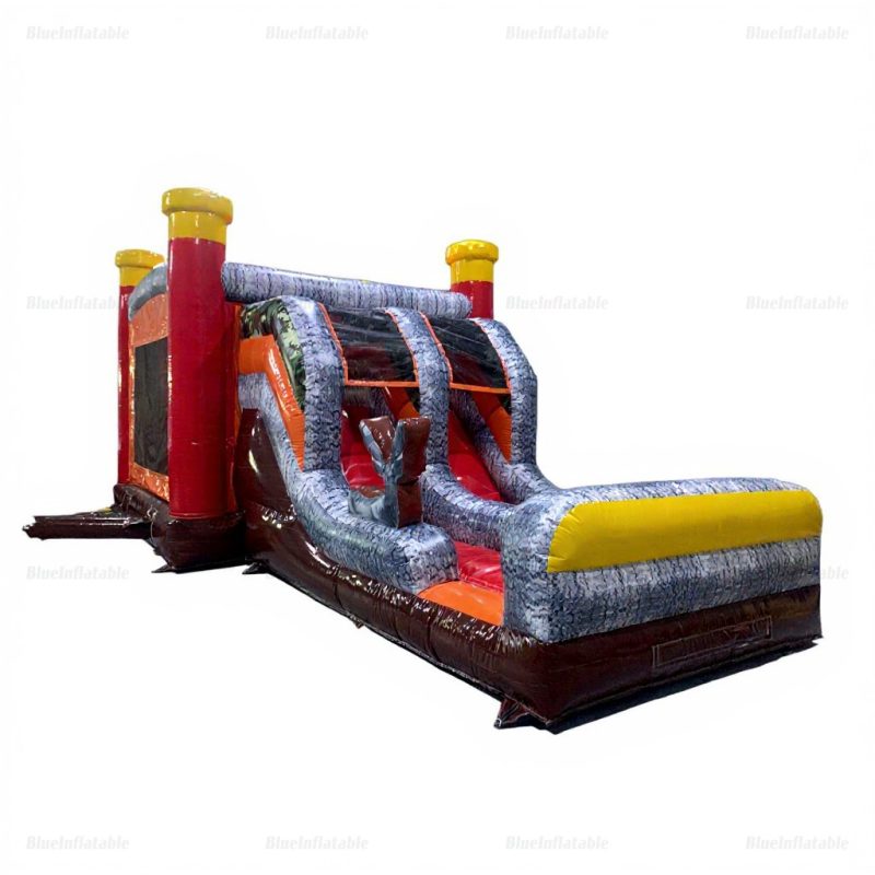 Double Slide Inflatable Bounce House Combo Rental