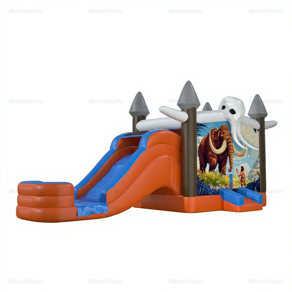 Mammoth Inflatable Bounce House & Water Slide Combo