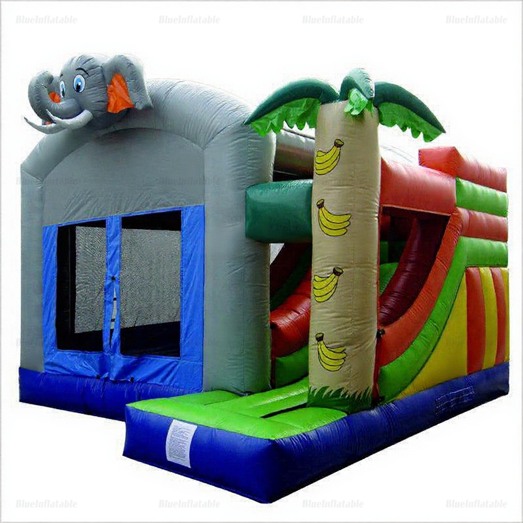 Castle Inflatable Bounce House