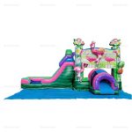 Inflatable Bounce House & Water Slide Combo