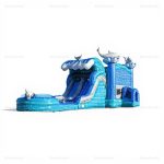 Doctor Dolphin Commercial Inflatable Bounce and Water Slide