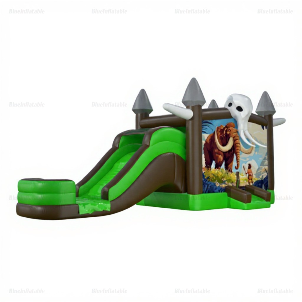 Commercial Inflatable Water Slide & Bounce House Combo