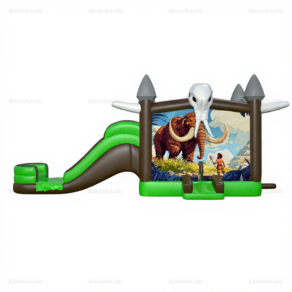 Commercial Inflatable Water Slide & Bounce House Combo - Image 4