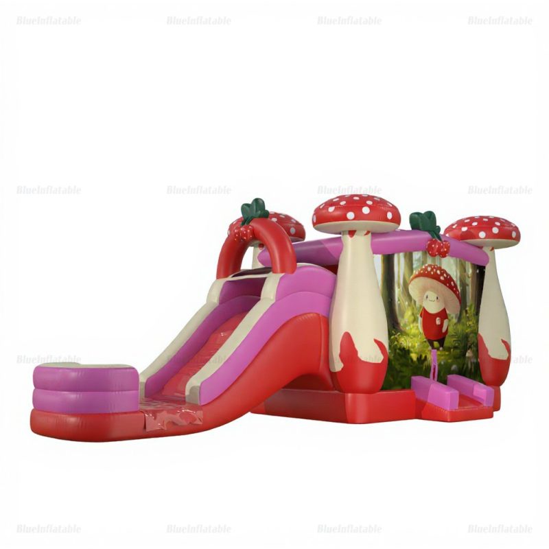 Giant Inflatable Mushroom Water Slide & Bounce House Combo