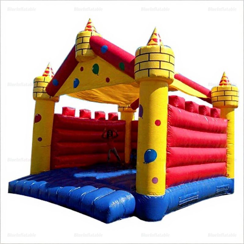 Inflatable Water Slide Bouncer