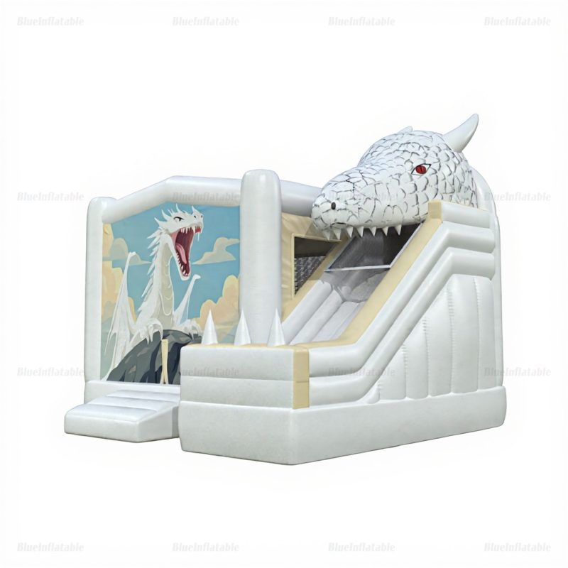 White Dragon Bounce House & Water Slide Combo Rental