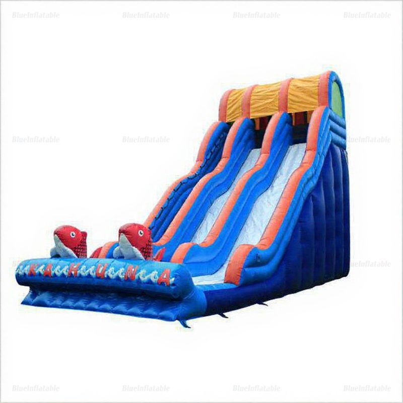 Outdoor Inflatable Toddler Dry Slide Party Fun