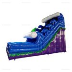 Giant Inflatable Dry Slide & Jumping Bouncer