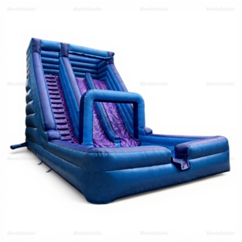 Adult Inflatable Water Slide Bounce House