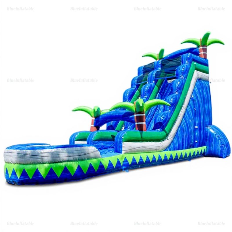 Inflatable Water Slide and Pool Bouncer