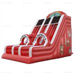 Animal Theme Double Inflatable Water Slide Rental