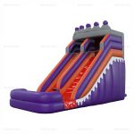 Crown Royal Inflatable Dry Slide Rental