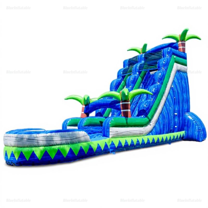 Inflatable Water Slide and Pool Bouncer