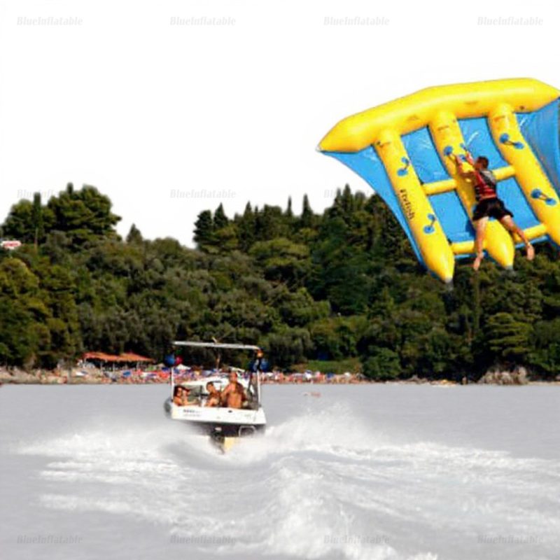 Inflatable Floating Fly Fish Water Game