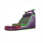 Giant Backyard Inflatable Water Slide & Jump Castle Rental