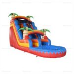 Rainbow Palm Inflatable Water Slide with Pool