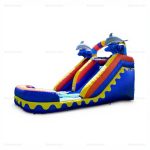 Dolphin Splash Commercial Inflatable Water Slide with Deep Pool