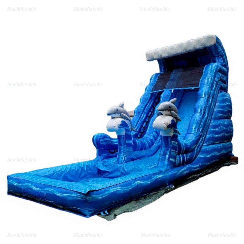 Dolphin Inflatable Water Slide with Pool – Wet & Dry Use