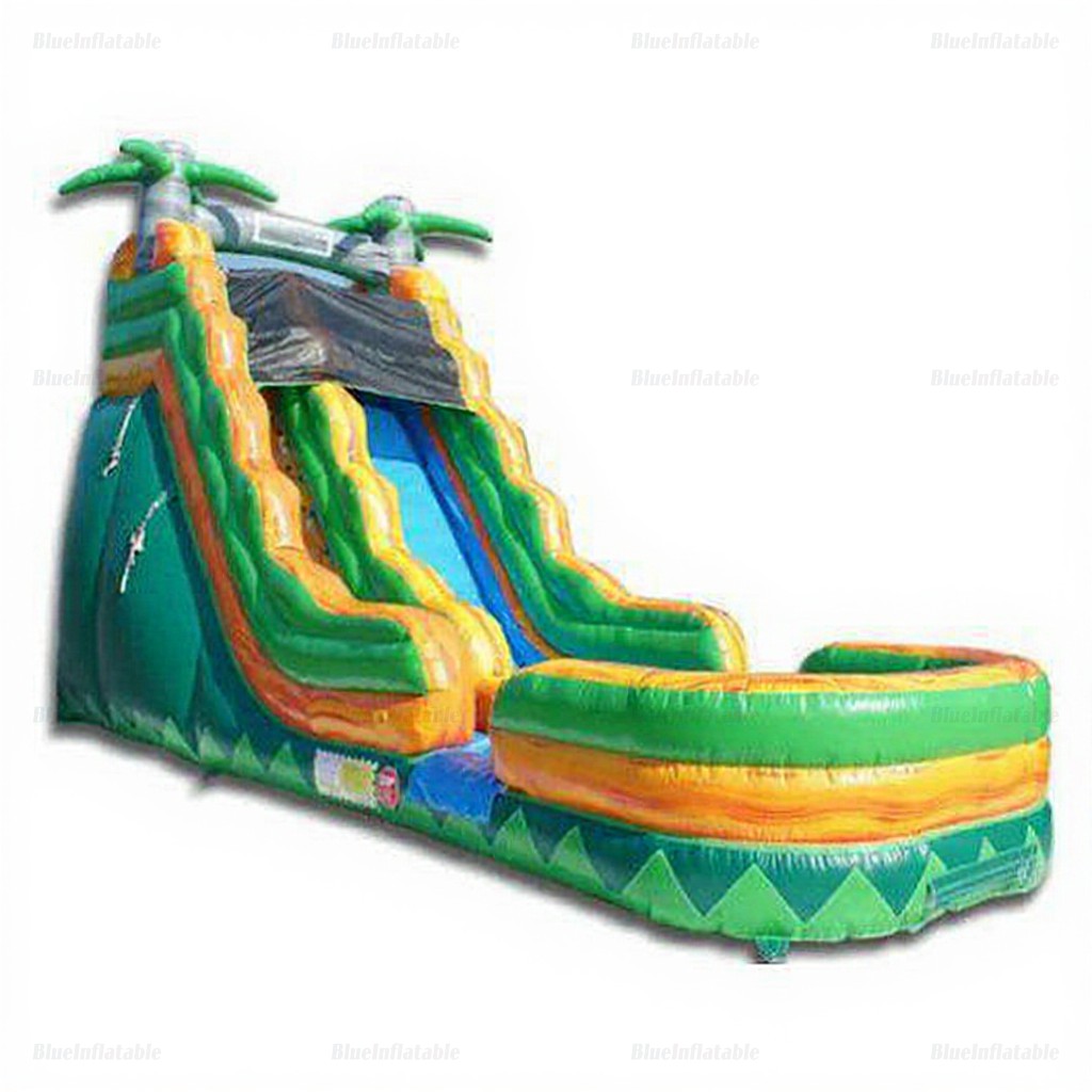 Giant Inflatable Water Slide & Bounce Pool