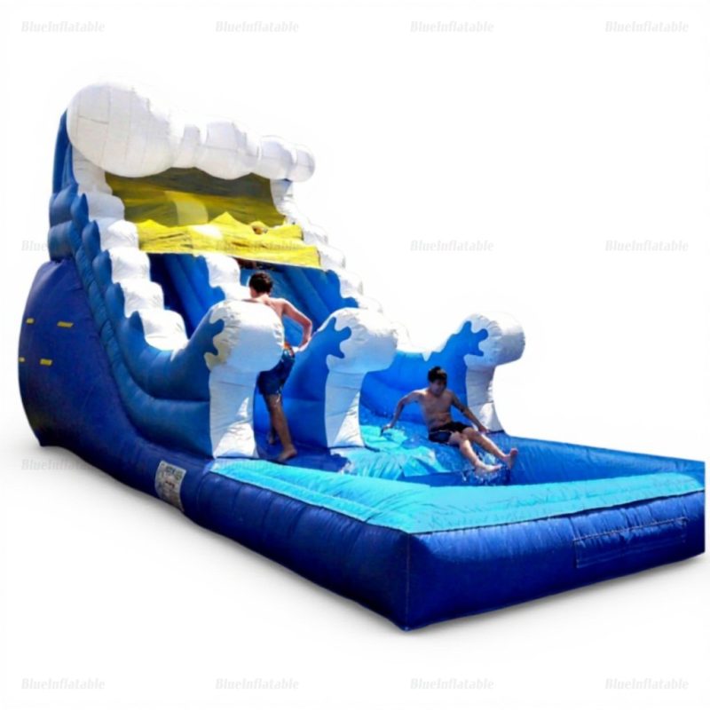 Giant Inflatable Water Slide & Pool Bouncer