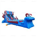 Ocean Inflatable Water Slide with Splash Pool