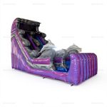 Purple Wave Single Lane Dolphin Inflatable Water Slide