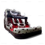 Double Lane Rodeo Rush Inflatable Water Slide Rental