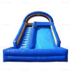 Inflatable Water and Dry Slide for Amusement