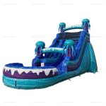 Adult Inflatable Water Slide and Bounce House