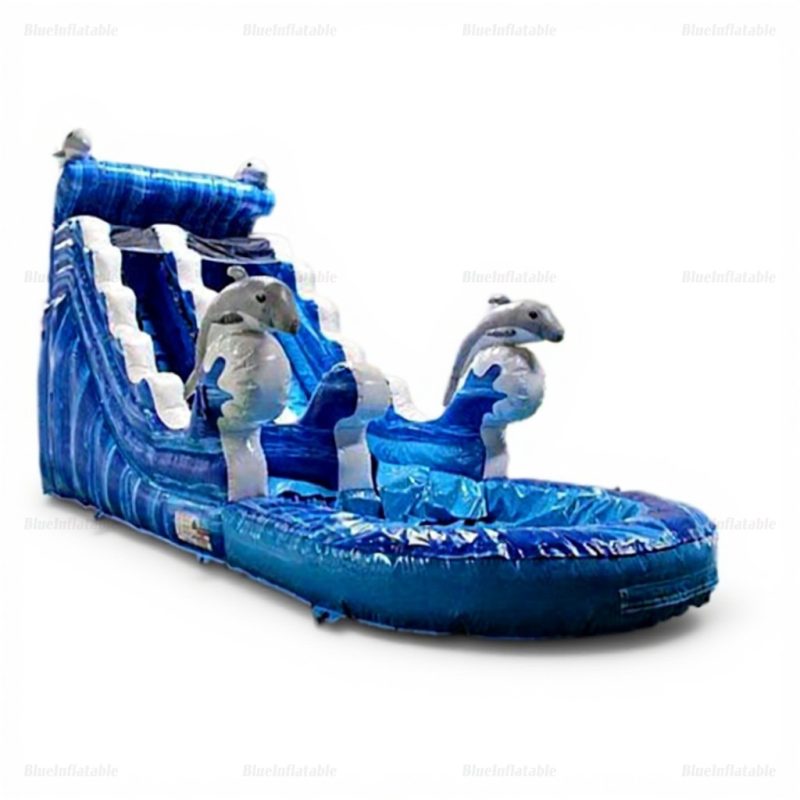 Inflatable Water Slide and Bounce House