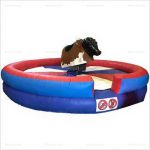 Mechanical Bull Inflatable Rental – Electronic Ride