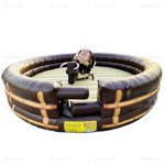 Inflatable Mechanical Bull Rental