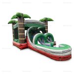 Double Slide Wet & Dry Bounce House Combo