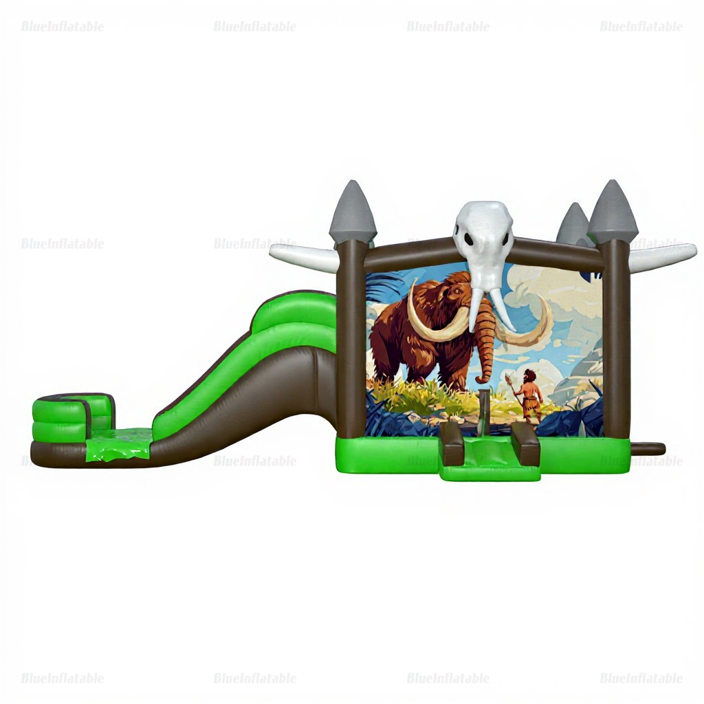 Commercial Inflatable Water Slide & Bounce House Combo - Image 4