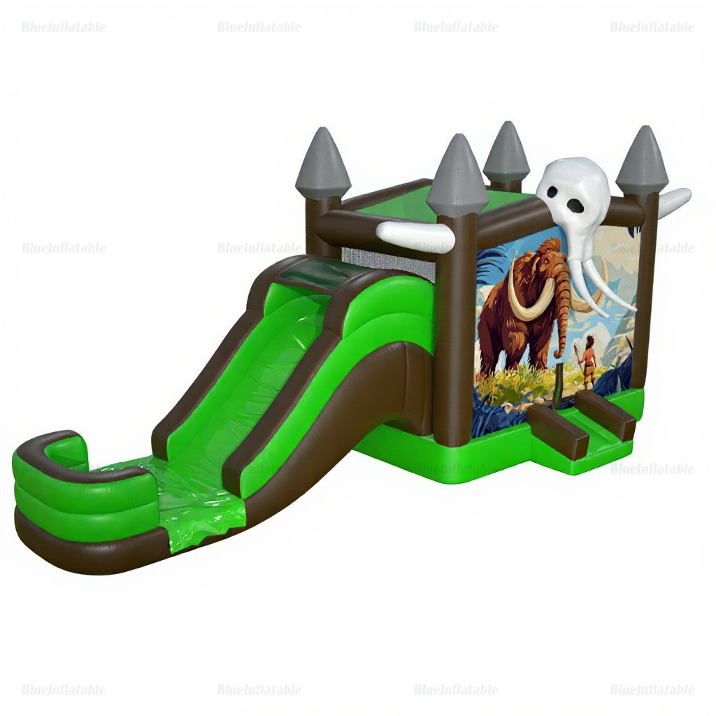 Commercial Inflatable Water Slide & Bounce House Combo - Image 6