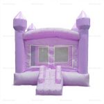 Mini Inflatable Bouncer & Water Slide Combo