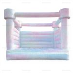 Pastel Wedding Bounce House Slide