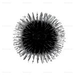 Commercial Inflatable Transparent Light-Up Zorb Ball